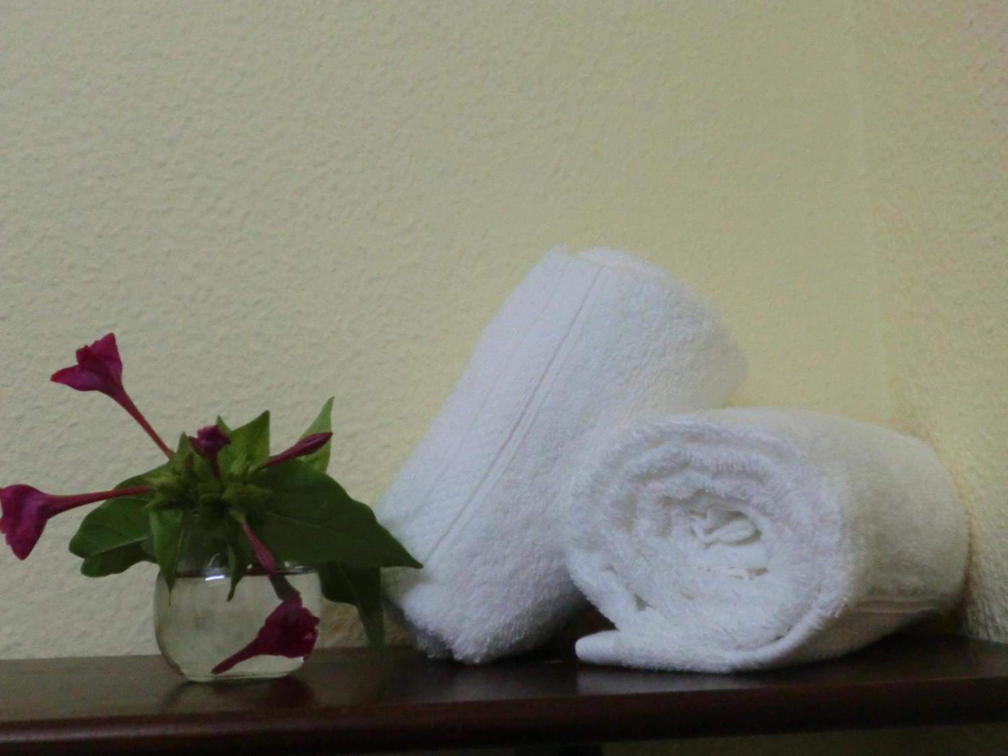 Varandas De Alter Hotel & Spa Alter do Chao Exterior photo